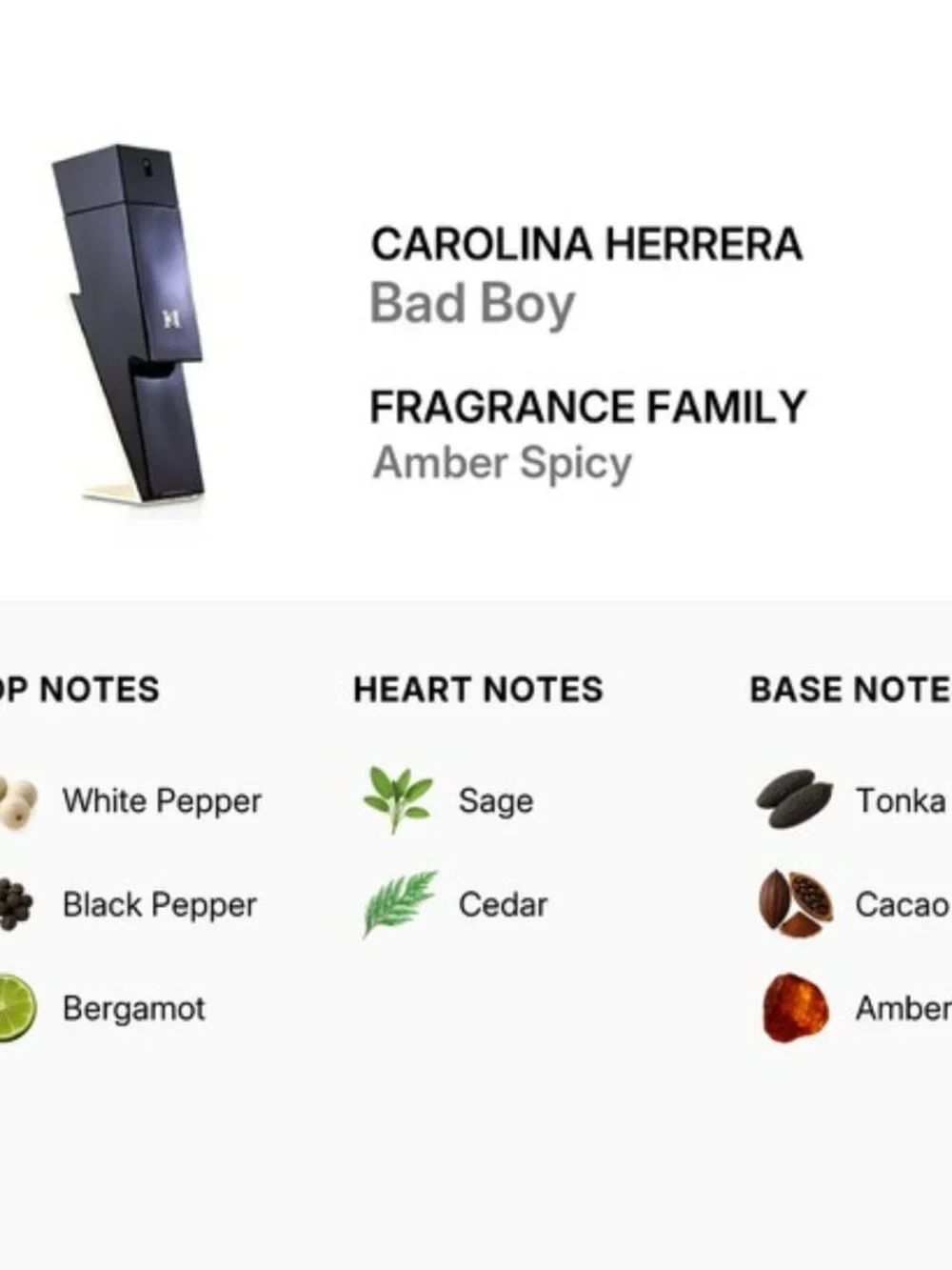 Carolina Herrera Bad Boy EDT,Oriental Spicy Woody Pepper-Travel 10ml,0.34oz-NEW